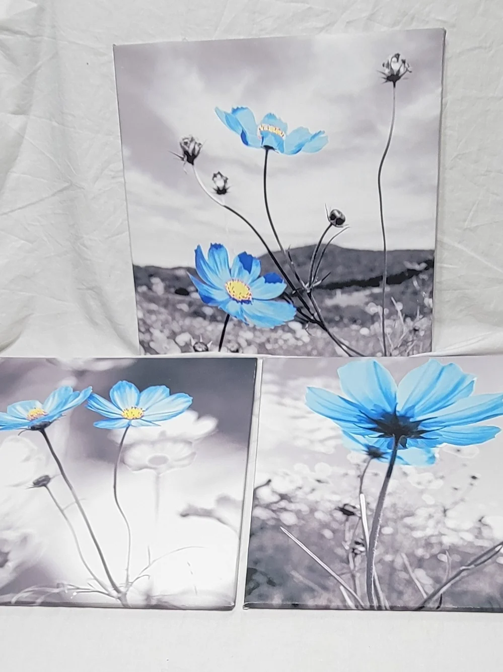Blue Flower Canvas Print 3 Piece Set, Black/White Background, Ready to Hang